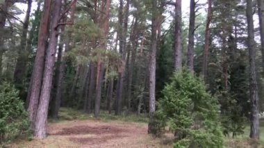 Letonya Avrupa 'sından geçerken