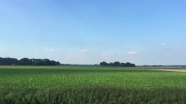 Hollanda 'nın Flevoland eyaletinde düz bir arazide trenle yolculuk yapmak.