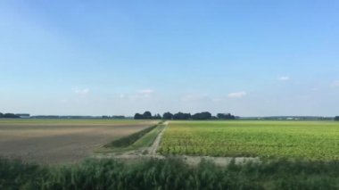 Hollanda 'nın Flevoland eyaletinde düz bir arazide trenle yolculuk yapmak.