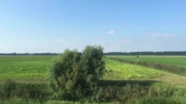 Hollanda 'nın Flevoland eyaletinde düz bir arazide trenle yolculuk yapmak.