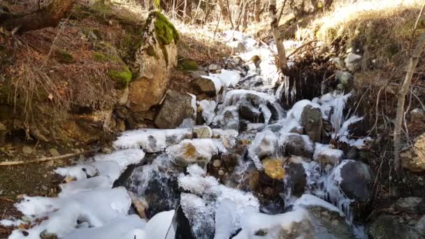 Cours d'eau avec glace dans le parc national de Mavrovo Macédoine