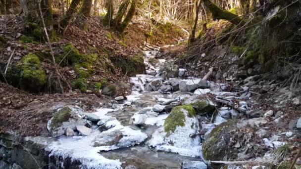 Piccolo Fiume Con Ghiaccio Nel Parco Nazionale Mavrovo Macedonia — Video Stock