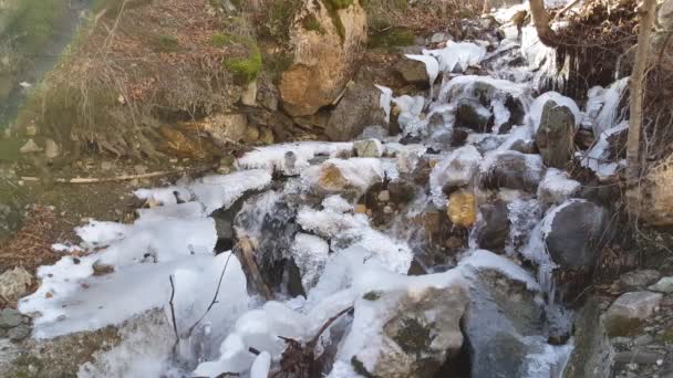 Cours d'eau avec glace dans le parc national de Mavrovo Macédoine
