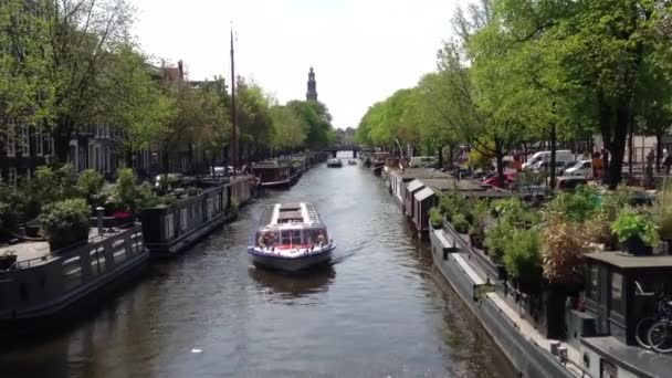 Cruzeiro Pelo Canal Amsterdã Com Barcos Vivos Nos Canais Países — Vídeo de Stock