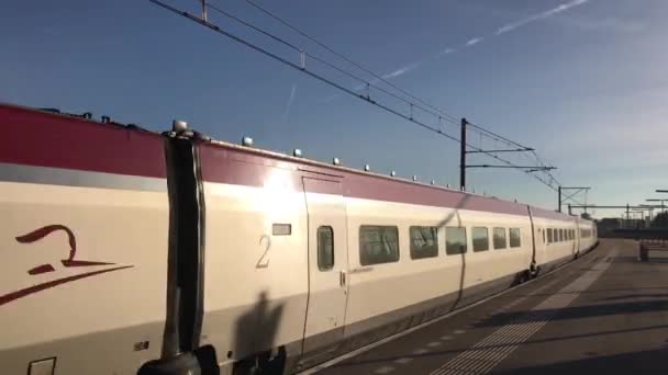 Thalys Tåg Passerar Vid Amsterdam Sloterdijk Station Nederländerna — Stockvideo