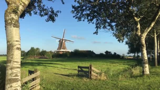 Windmühle Hond Der Hund Friesland Niederlande — Stockvideo