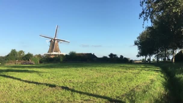 Windmühle Hond Der Hund Friesland Niederlande — Stockvideo