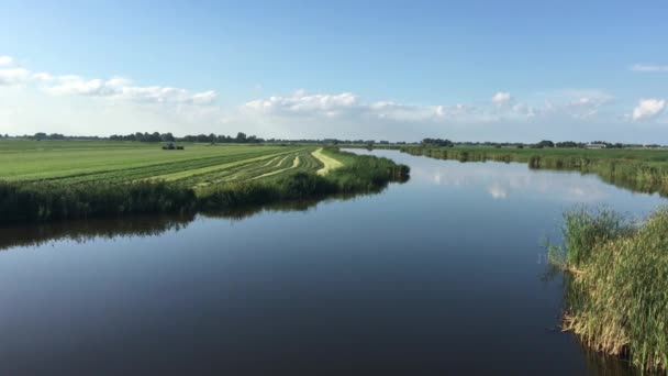 Тихое Озеро Фермером Работающим Земле Фрисландии Нидерланды — стоковое видео