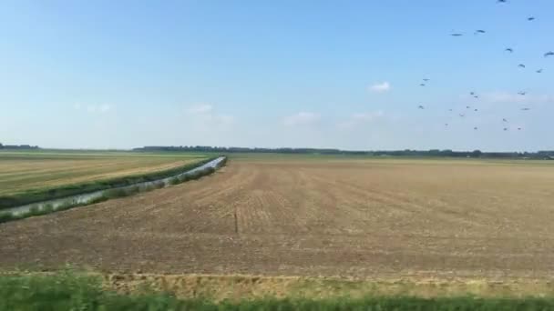 Dirigir Com Trem Através Uma Paisagem Plana Província Flevoland Nos — Vídeo de Stock