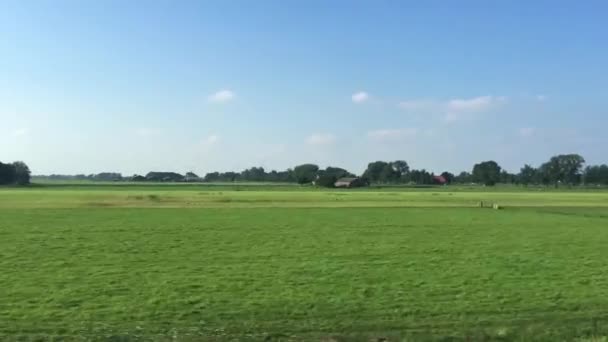 Met Trein Door Een Vlak Landschap Rijden Provincie Overijssel — Stockvideo