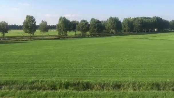 Dirigir Com Trem Através Uma Paisagem Plana Província Overijssel Nos — Vídeo de Stock