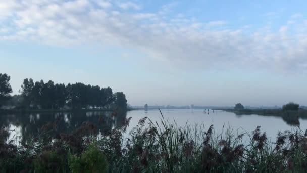 ニークのゲオウと呼ばれる湖からの朝の風景 フリースラントオランダ — ストック動画