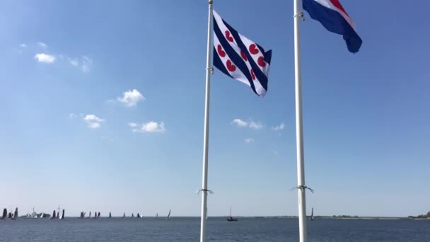 Bandera Frisia Holanda Con Skutsjes Fondo Lemmer Países Bajos — Vídeo de stock