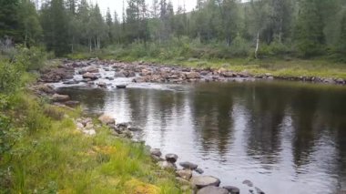 Nehir Borgefjell Ulusal Parkı Norveç