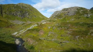 Norveç 'in Moysalen Ulusal Parkı' ndaki yeşil dağ manzarası