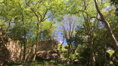 Sintra Portekiz 'deki Moors Kalesi