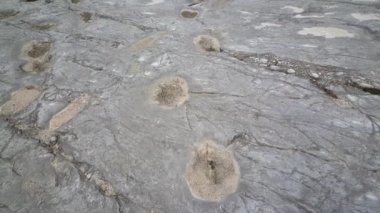 Portekiz 'deki Parque Natural das Serras de Aire e Candeeiros' ta dinozorların ayak izleri.