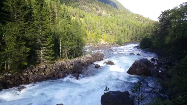 Rio Selvagem Parque Nacional Hardangervidda Noruega — Vídeo de Stock