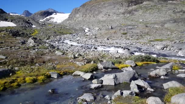 Folyó Ősszel Jotunheimen Nemzeti Parkban Norvégia — Stock videók