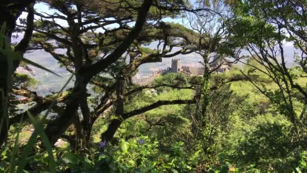 View Path Royal Tower Castle Moors Sintra Portugal — Stock Video