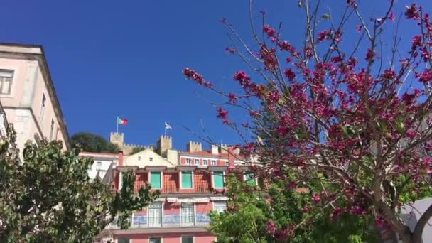 Ροζ Κτίριο Castelo Jorge Στο Παρασκήνιο Της Λισαβόνας Portugal — Αρχείο Βίντεο