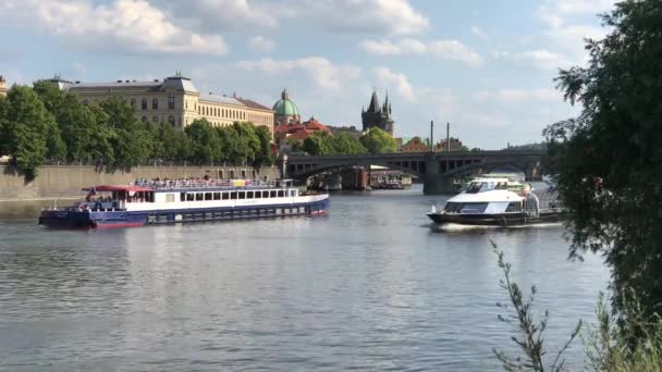 Kryssningsbåtar Vid Floden Vltava Prag Tjeckien — Stockvideo