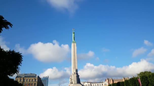 Серый Ящер Между Скалами Природном Парке Серра Эспад Испания — стоковое видео