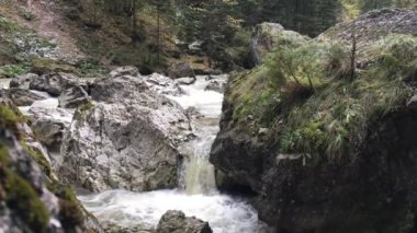 Bicaz Vadisi, Romanya 'nın Cheile Bicazului-Hama Ulusal Parkı' nda bir vadi