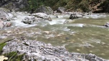 Bicaz Vadisi, Romanya 'nın Cheile Bicazului-Hama Ulusal Parkı' nda bir vadi