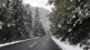 Slovakya 'daki Alçak Tatras Ulusal Parkı' ndan geçerken