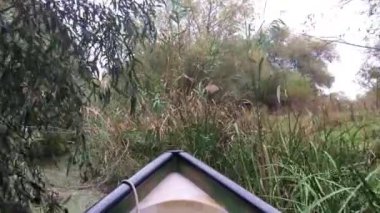 Romanya 'daki Tuna Deltası' nda küçük bir nehirden geçen bir tekneyle