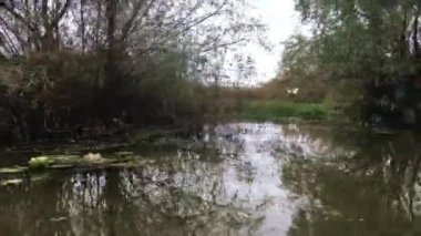 Romanya 'daki Tuna Deltası' nda bir balıkçıl uçarken küçük bir nehirden geçen bir tekneyle.