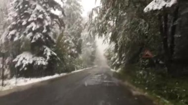 Slovakya 'daki Alçak Tatras Ulusal Parkı' ndan geçerken