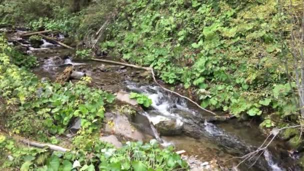 Der Wasserfall Cascada Rumänien — Stockvideo