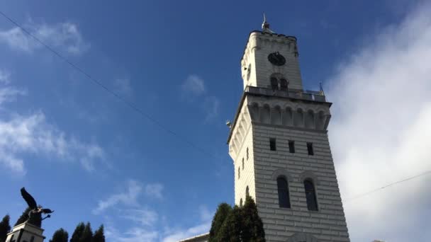 Věž Etnografického Muzea Vatra Dornei Rumunsko — Stock video