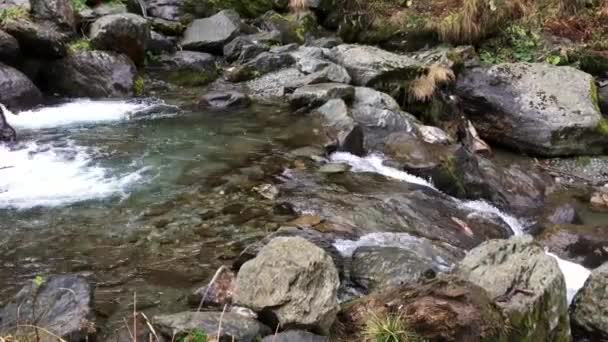 Flusso Acqua Dalla Cascata Capra Sui Monti Fagaras Romania — Video Stock