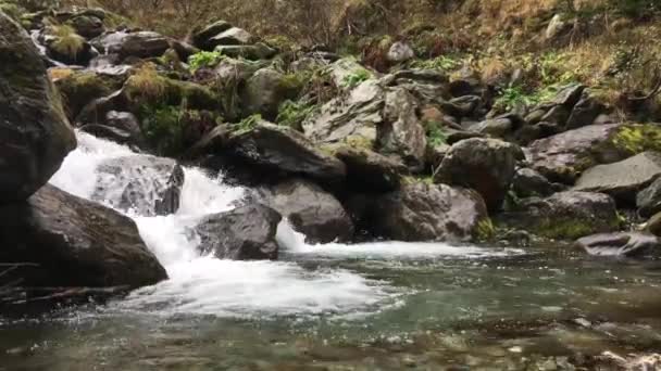 Small Waterfall Capra Waterfall Fagaras Mountains Romania — Stock Video