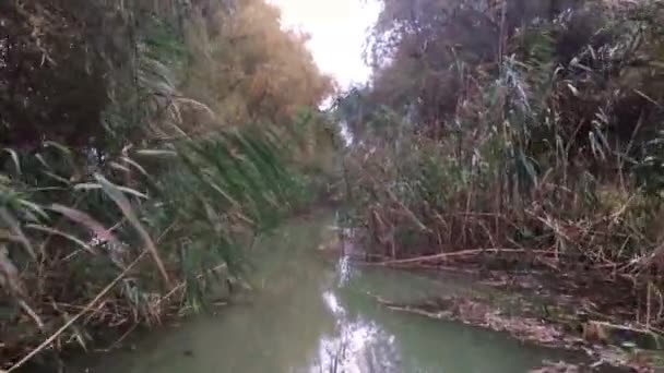 Avec Bateau Travers Petit Fleuve Dans Delta Danube Roumanie — Video