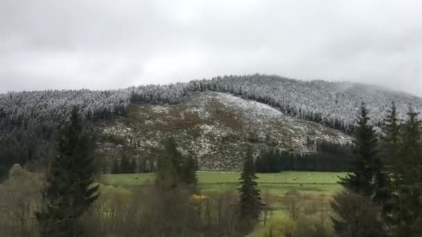 Conduciendo Través Nevado Parque Nacional Low Tatras Eslovaquia — Vídeo de stock