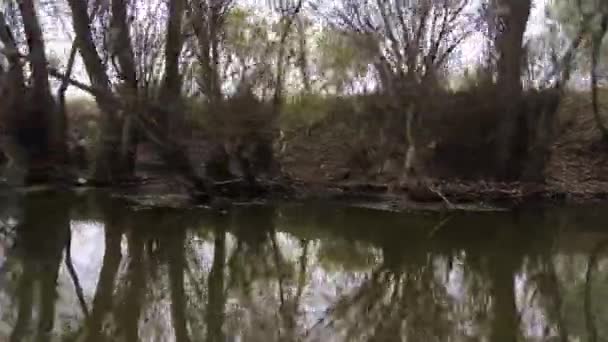 Réflexion Sur Petit Fleuve Dans Delta Danube Roumanie — Video