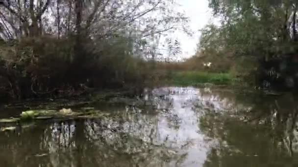 Avec un bateau à travers un petit fleuve tandis qu'une aigrette s'envole dans le delta du Danube en Roumanie