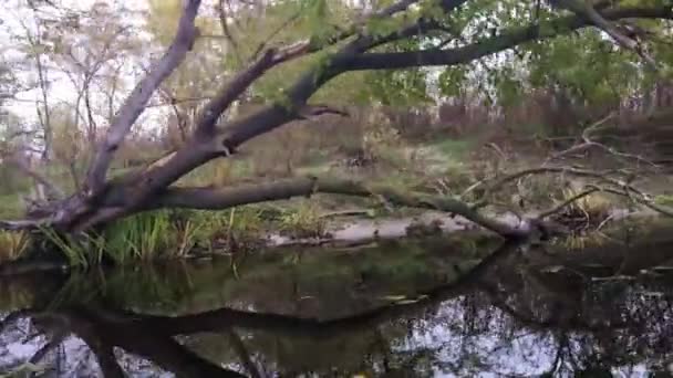 En passant par deux chevaux dans le delta du Danube en Roumanie