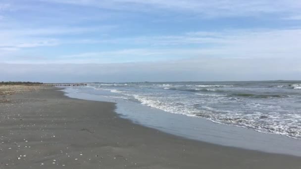 Playa Sulina Durante Otoño Rumania — Vídeo de stock