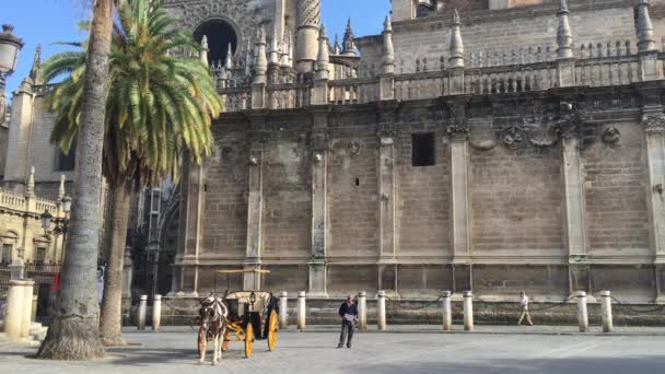 Häst Och Vagn Framför Katedralen Sevilla Spanien — Stockvideo