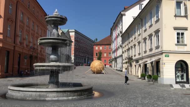 Turister Passerar Fontänen Vid Novi Trg Torget Den Gamla Staden — Stockvideo