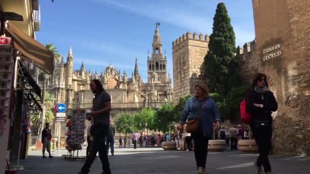 Caballo Carruaje Dirección Catedral Sevilla España — Vídeos de Stock