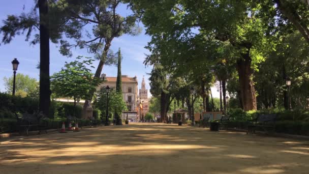 Cristinagarten Und Die Giralda Glockenturm Von Der Kathedrale Von Sevilla — Stockvideo