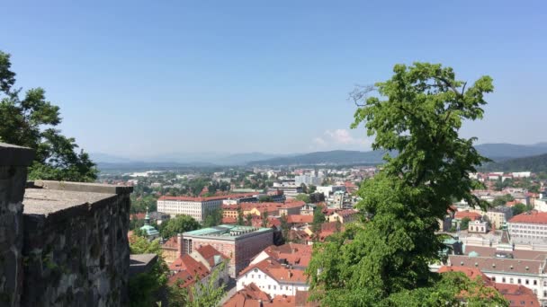Widok Zamku Lublana Nad Starym Miastem Lublana Słowenia — Wideo stockowe