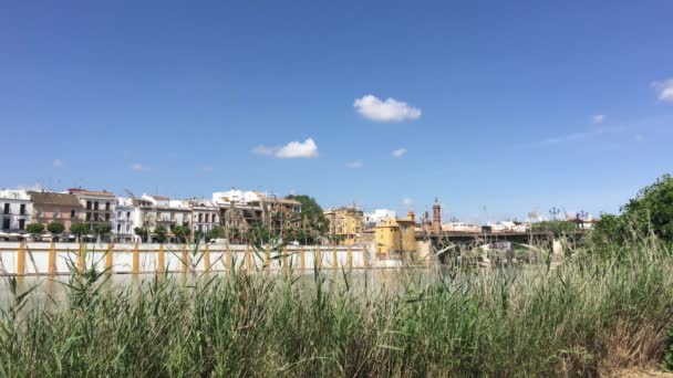 Canal Alfonso Xiii Com Ponte Puente Isabel Fundo Sevilha Espanha — Vídeo de Stock