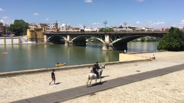 Polícia Montando Cavalo Longo Canal Alfonso Xiii Com Ponte Puente — Vídeo de Stock